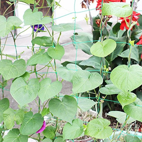 Nylon Garden Fence Vegetable Plant Trellis Netting